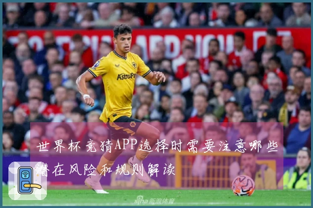 世界杯竞猜APP选择时需要注意哪些潜在风险和规则解读