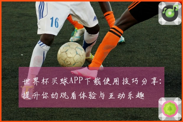 世界杯买球APP下载使用技巧分享:提升你的观看体验与互动乐趣