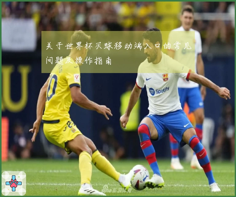 关于世界杯买球移动端入口的常见问题及操作指南