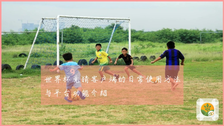 世界杯竞猜客户端的日常使用方法与平台功能介绍