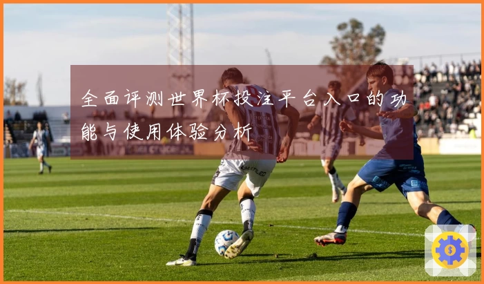 全面评测世界杯投注平台入口的功能与使用体验分析