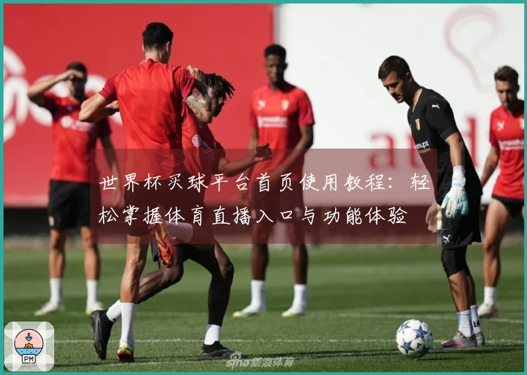 世界杯买球平台首页使用教程：轻松掌握体育直播入口与功能体验