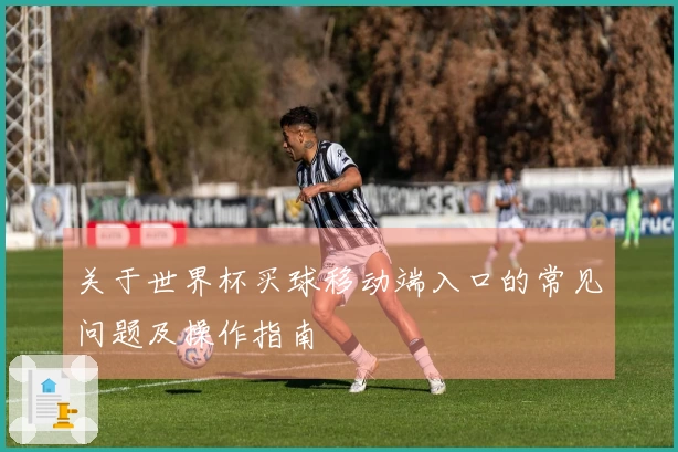 关于世界杯买球移动端入口的常见问题及操作指南