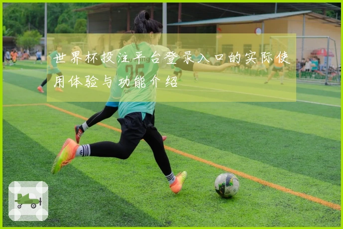 世界杯投注平台登录入口的实际使用体验与功能介绍