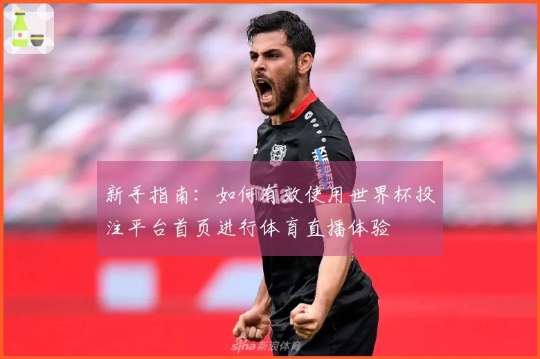 新手指南:如何有效使用世界杯投注平台首页进行体育直播体验