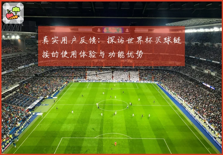 真实用户反馈：探访世界杯买球链接的使用体验与功能优势