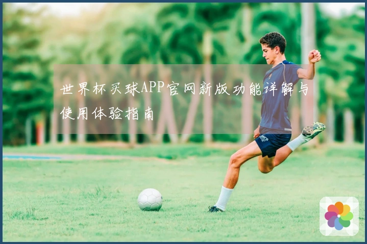 世界杯买球APP官网新版功能详解与使用体验指南