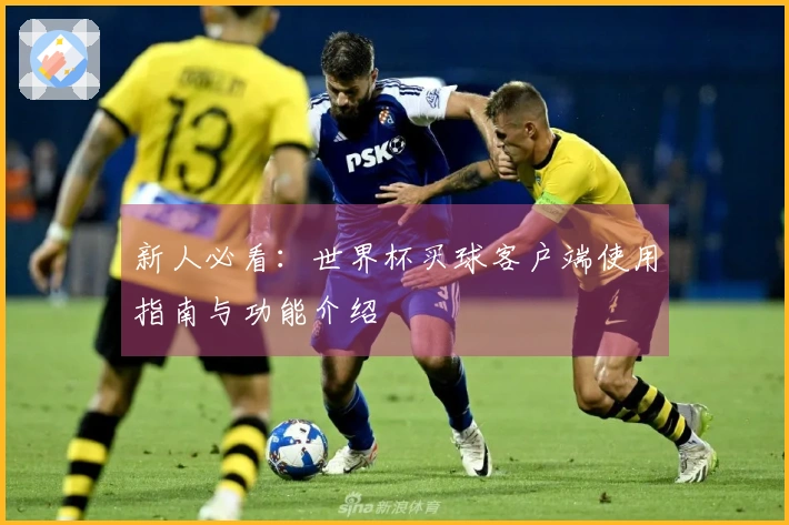 新人必看：世界杯买球客户端使用指南与功能介绍