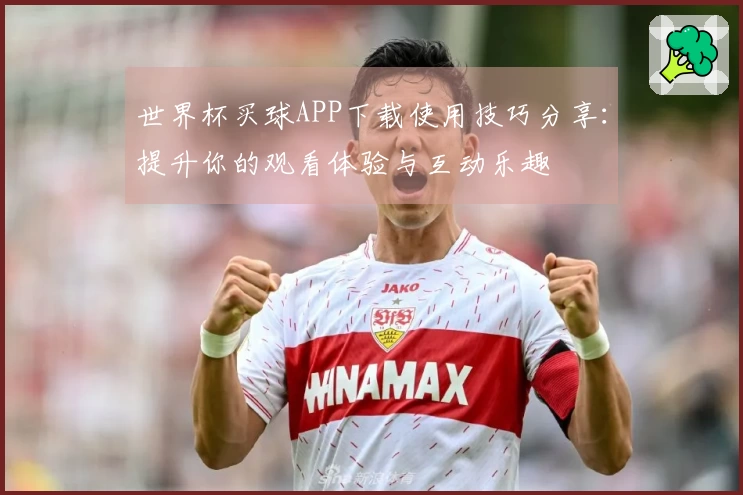 世界杯买球APP下载使用技巧分享：提升你的观看体验与互动乐趣