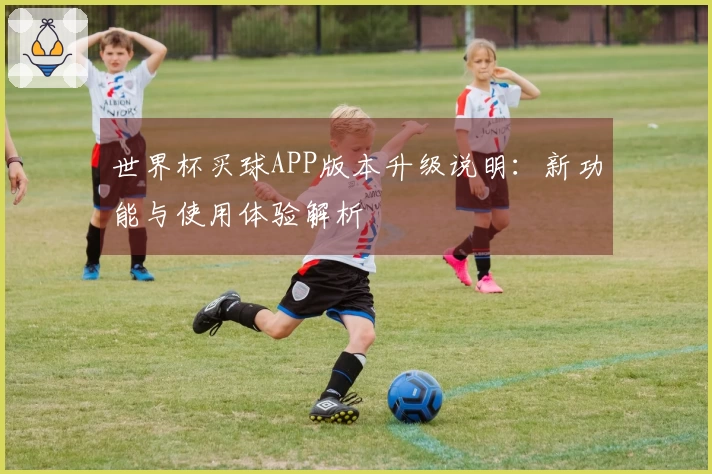 世界杯买球APP版本升级说明：新功能与使用体验解析
