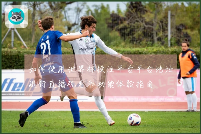 如何使用世界杯投注平台平台地址进行直播观看和功能体验指南