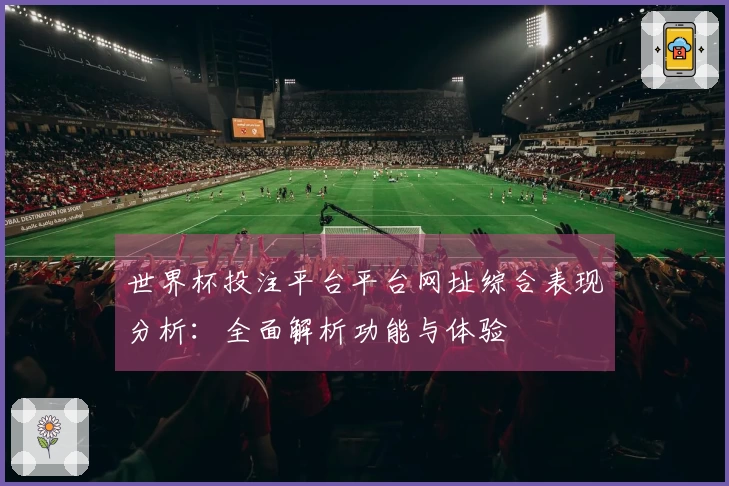 世界杯投注平台平台网址综合表现分析：全面解析功能与体验