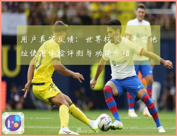 用户真实反馈：世界杯买球平台地址使用体验评测与功能介绍