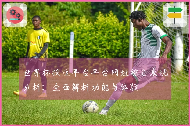 世界杯投注平台平台网址综合表现分析:全面解析功能与体验