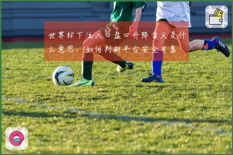 世界杯下注入口盘口升降含义是什么意思，如何判断平台安全可靠